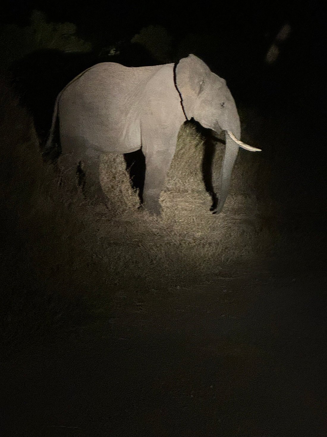 Comfort Gardens gallery 5